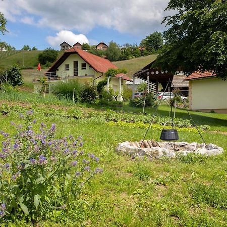 Domacija Vesel Villa Trebnje Екстериор снимка