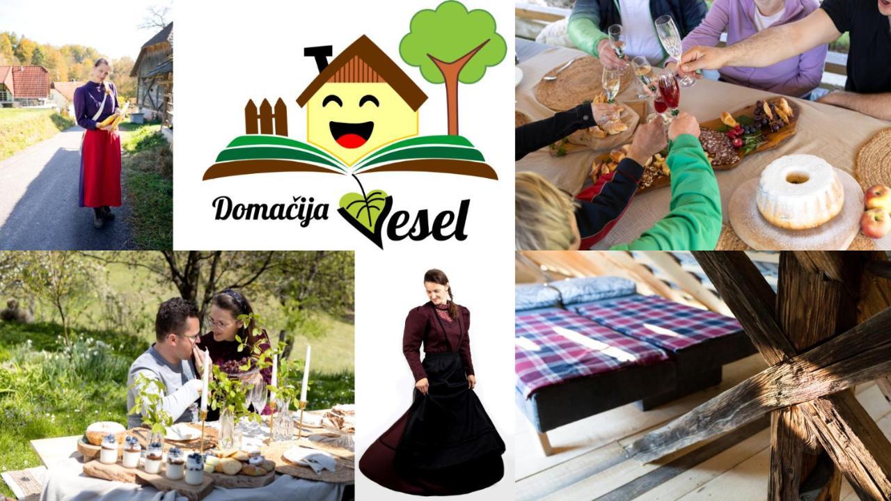 Domacija Vesel Villa Trebnje Екстериор снимка