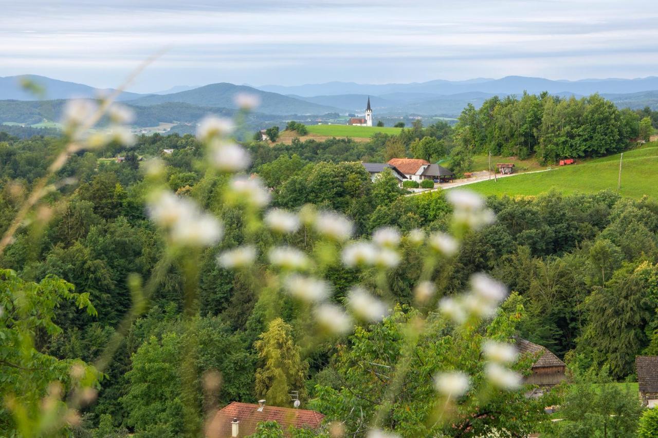 Domacija Vesel Villa Trebnje Екстериор снимка