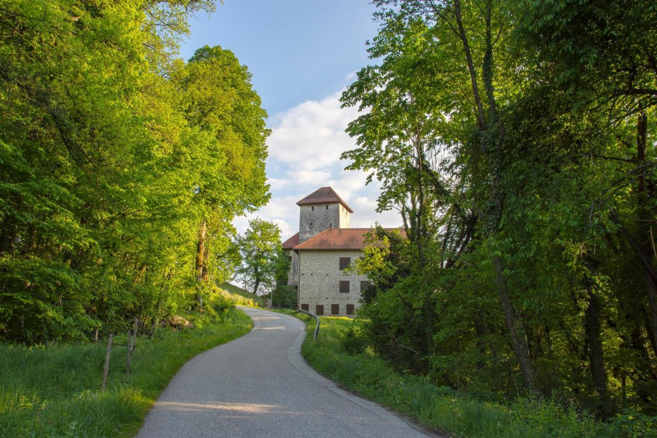 Domacija Vesel Villa Trebnje Екстериор снимка